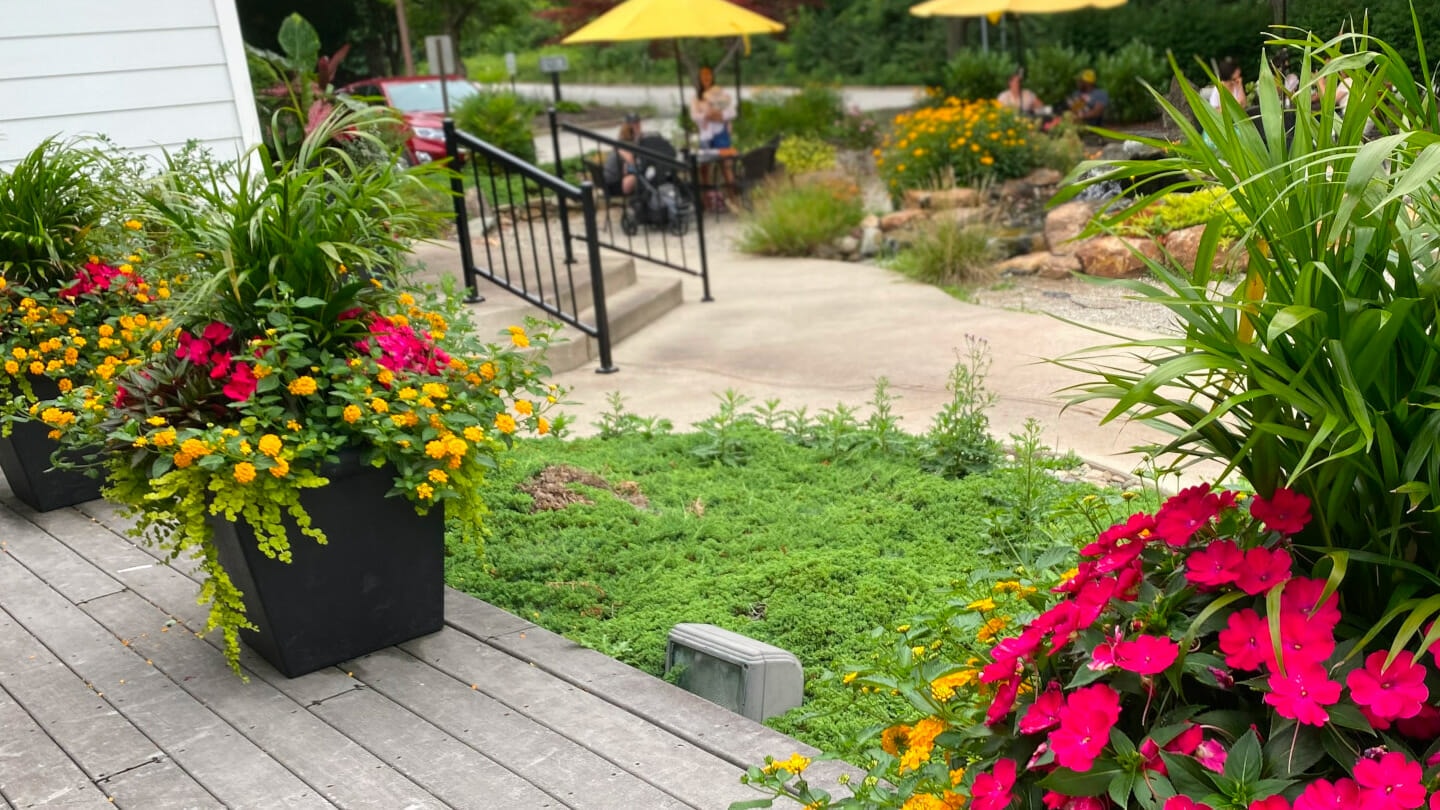 Commercial and business planter and container services