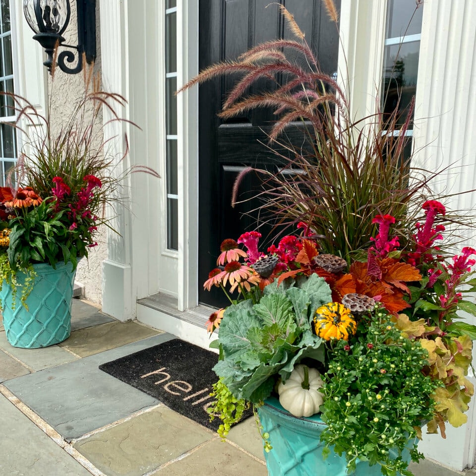 fall flowers and plants in two blue urns on the front steps of a residence