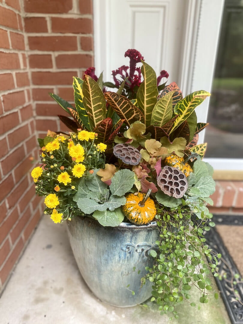 urn with fall & autumn flowers outside a residence