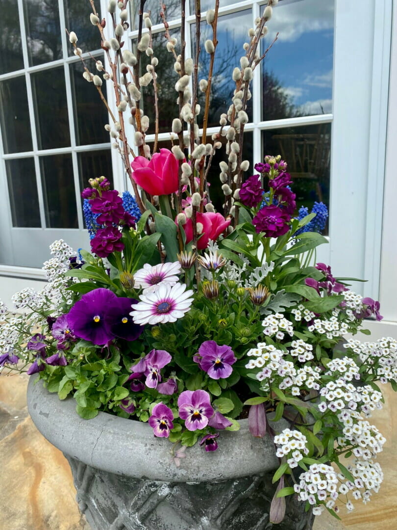 spring flowers on a patio