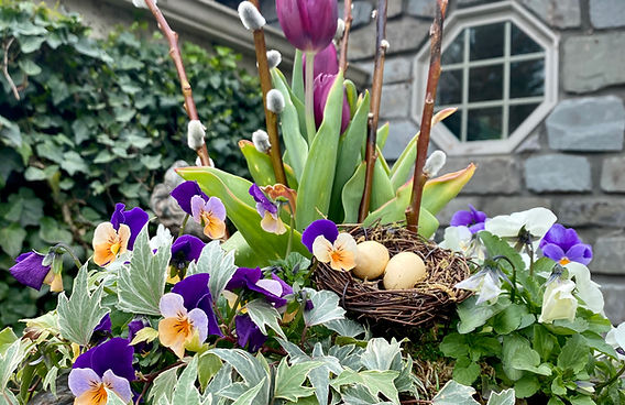 beautiful spring flowers in an urn/pot with eggs