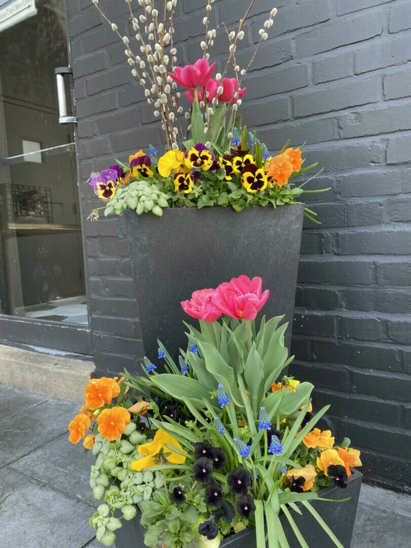 flowers in a concrete urn outside an office building
