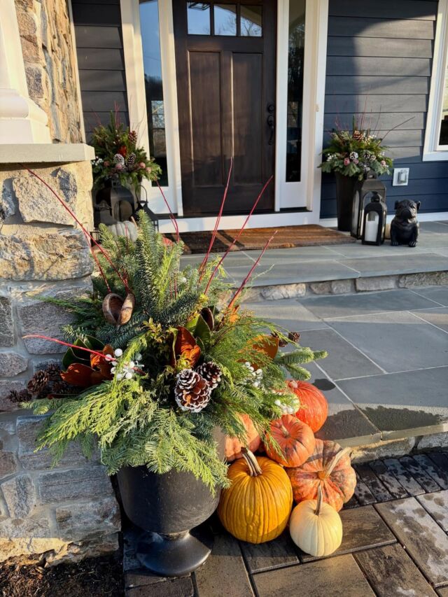 Blooming with gratitude this Thanksgiving! Have a wonderful Thanksgiving 🦃
#urnedelegance #urnedmembership #prettyplantersforeveryseason #happythanksgiving #gratitude