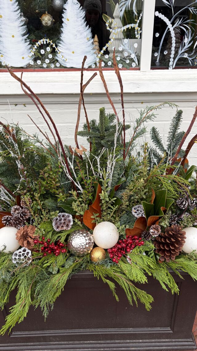 Our holiday installations have started! Adding holiday whimsy to our favorite jewelry boutique @truebykristy #urnedelegance #prettyplantersforeveryseason #urnedmembership #plantjoy #containergardening #curbappeal #betterhomesandgardens #seasonalplanters #winterplanters #holidayplanters #wintercontainers #holidaycontainers #holidaydecor #holidays