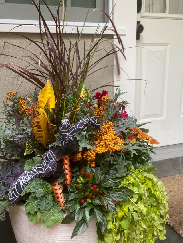 Fall is my favorite planting season. Everything is in bloom & big. The wow factor is instant, the colors are rich, the air is crisp. #urnedelegance #urnedmembership #prettyplantersforeveryseason #plantjoy #fallplanters #seasonalplanters #fallcontainers #seasonalcontainers #fall #curbappeal #betterhomesandgardens #fallcolors #waynepa