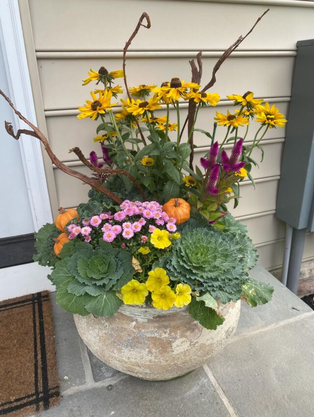 Add some fall flair to your mudroom entrance with a seasonal planter - it's usually the most used door!#urnedelegance #urnedmembership #prettyplantersforeveryseason #fallplanters #fallcontainers #mudroomdoor #seasonalplanters #falldecor #decoratewithnature #betterhomesandgardens #plantjoy