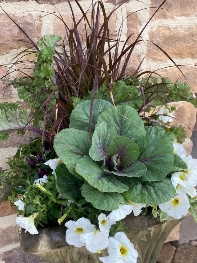 My oldest daughter @camille_khalifa is getting married this weekend! Flowers at the church entrance ✔️! 🤍🤍🤍#urnedelegance #urnedmembership #prettyplantersforeveryseason #weddingday #weddingready #letsgo #momofbride #weddingplanters #thankyoujesuss