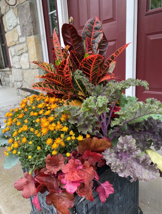 Fall Vibes 
#urnedelegance #urnedmembership #prettyplantersforeveryseason #plantjoy #fallplanters #fallcontainers #seasonalcontainers #falldecor #curbsppeal #fallgardens #fall #containergardening #downingtownpa