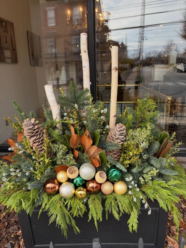 It’s beginning to look a lot like Christmas🎄
#urnedelegance #urnedmembership #prettyplantersforeveryseason #holidayplanters #seasonalplanters #holidaydecor #holidaydecorating #holiday #decorate #malvernpa #betterhomesandgardens