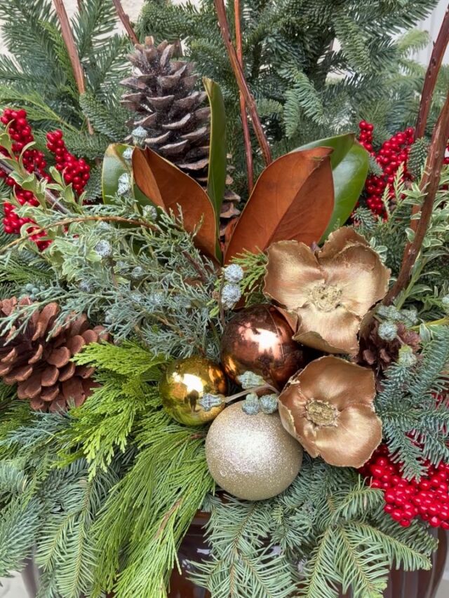 A mix of evergreens and textures creates a stunning winter container.
#urnedelegance #urnedmembership #prettyplantersforeveryseason #plantjoy #winterplanters #wintercontainers #holidaydecor #holidaydecorating #containergardening #malvernpa #curbappeal #decorate