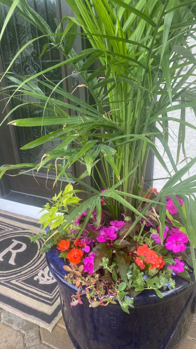 That’s a wrap the summer season is complete! Thank you to my wonderful clients for trusting our URNed Elegance team to create beautiful summer planters! @mgunn302 & @jojoslittlenest #urnedelegance #prettyplantersforeveryseason #urnedmembership #plantjoy #plantjoy #containergardening #curbappeal #betterhomesandgardens #seasonalplanters #summercontainers #summerplanters #chestercounty #summer #summerflowers