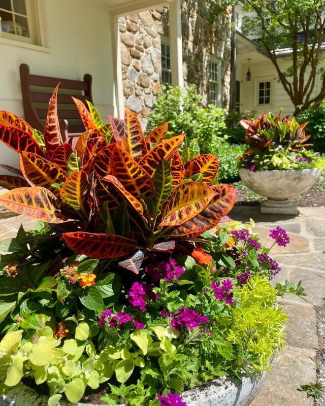 Waiting patiently for the sun to arrive in Pennsylvania #urnedelegance #urnedmembership #prettyplantersforeveryseason #seasonalplanters #summerplanters #summercontainers #containergardening #containerdesigner #summervibes #curbappeal #summerflowers #betterhomesandgardens #plantjoy #malvernpa