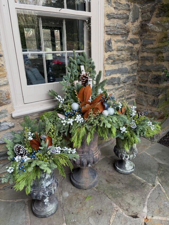 The three kings! #urnedelegance #urnedmembership #prettyplantersforeveryseason #seasonalplanters #holidaydecor #betterhomesandgardens #holiday #containergardening #plantjoy #evergreens #villanova