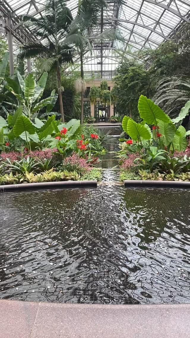 Last week our wonderful group of professional container gardeners @digginginassociation held this year’s summer gathering in  West Chester, Pennsylvania.  I was so thrilled to tour with this amazing group of creatives  the magic of @longwoodgardens and the enchantment of @chanticleergarden. Pennsylvania is America’s garden capital & has so much beauty to offer. It was wonderful to witness the awe & inspiration from these special gardens. Thank you @digginginassociation  for coming to Pennsylvania! #urnedelegance #prettyplantersforeveryseason #plantjoy #containergardening #digginginassociation #creatives #containerdesigner