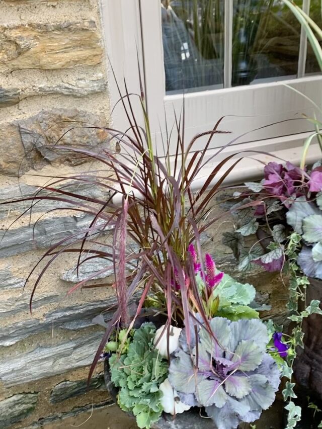 I am an Autumn !🍁
#urnedelegance #urnedmembership #prettyplantersforeveryseason #plantjoy #seasonalcontainers #seasonalplanters #fall #fallplanters #fallcontainerseason #fallcontainers #falldecor #curbappeal #iamanautumn