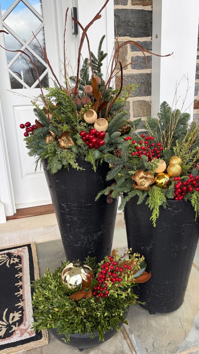 We are bringing the bling this holiday season!🎄🎄🎄
#urnedelegance #prettyplantersforeveryseason #urnedmembership #plantjoy #containergardening #curbappeal #betterhomesandgardens #seasonalplanters #wintercontainers #holidayplanters #holidayseason #deckingthehalls #decorate #holidays #villanovapa