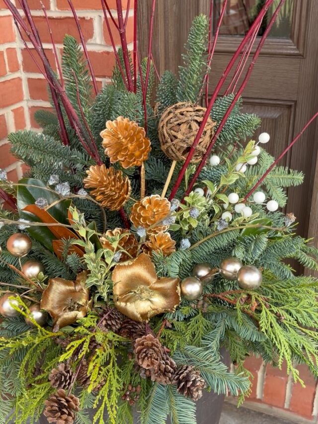 Naturals & golds make these winter planters sparkle 🎄#urnedelegance #urnedmembership #prettyplantersforeveryseason #plantjoy #winterplanters