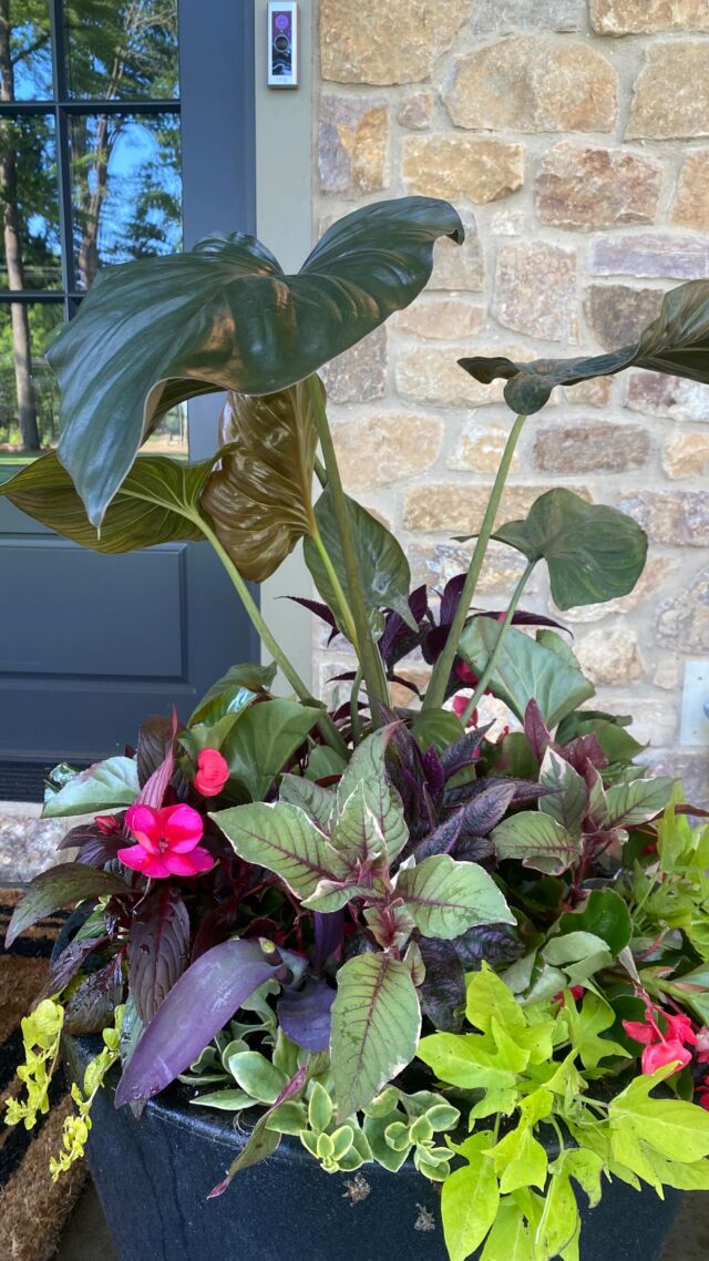 Let’s go summer! The URNed Elegance team is bringing the steam this season! #urnedelegance #prettyplantersforeveryseason #urnedmembership #plantjoy #containergardening #curbappeal #betterhomesandgardens #seasonalplanters #