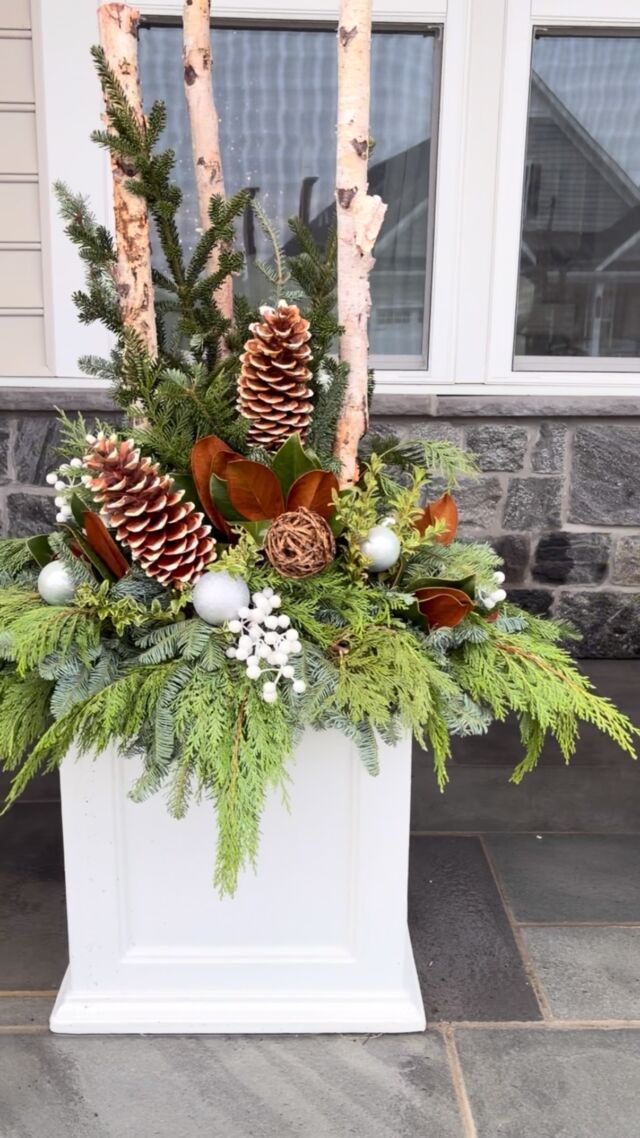 Winter whites make everything bright this holiday season! #urnedelegance #prettyplantersforeveryseason #urnedmembership #plantjoy #containergardening #curbappeal #betterhomesandgardens #seasonalplanters #winterplanters#holidayplanters #holidayoutdoordecor #holidays #holidaydecor #holidaycontainers #westchesterpa