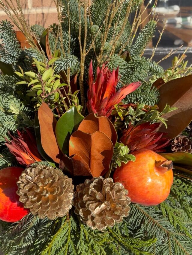 Winter planters overflowing with joyful goodness.#urnedelegance #urnedmembership #prettyplantersforeveryseason #plantjoy #winterplanters #wintercontainers #decorate #holidaydecor #betterhomesandgardens #containergardener