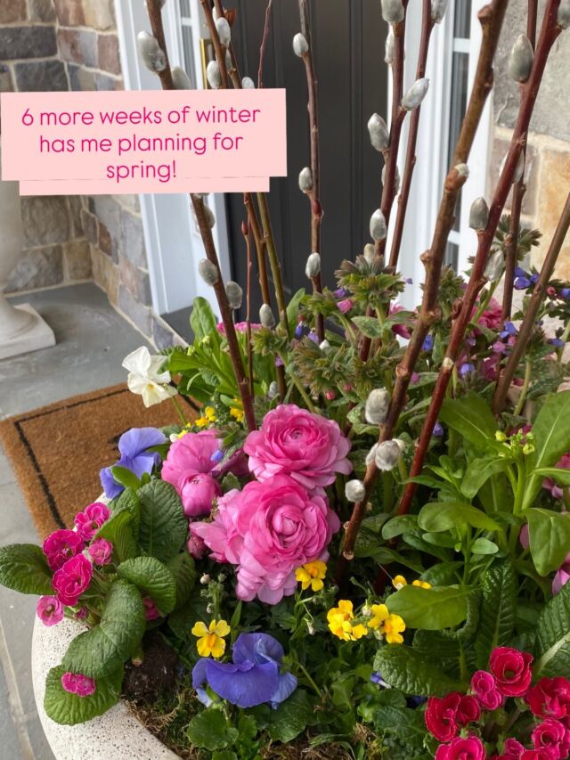 February has arrived! Since winter's not leaving just yet (6 more weeks!), I'm getting excited for spring. 🌷 This week, keep an eye out for 2026 Proposals in your inbox. #urnedelegance #urnedmembership #plantjoy #springplanters