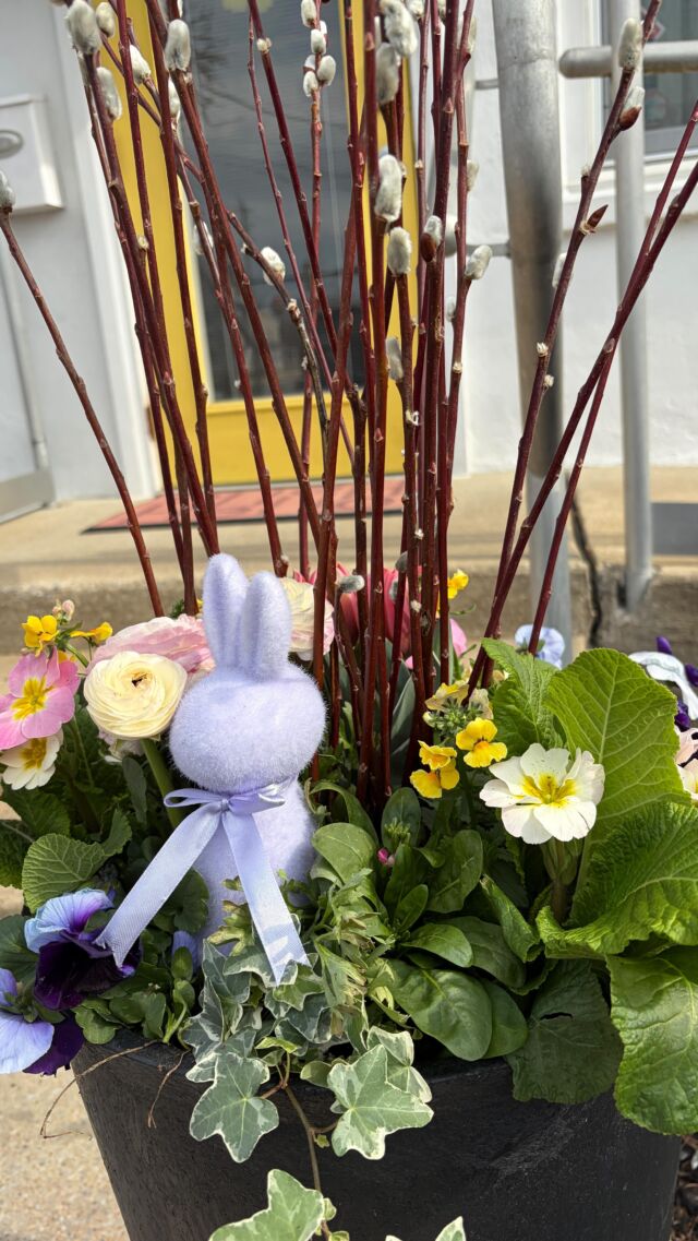 Dirty nails, dirt mustaches, and a little bit of sweat, we're getting down and dirty for the best spring season ever. Coming to your doorstep soon! #urnedelegance #prettyplantersforeveryseason #urnedmembership #springplanters #containergardening