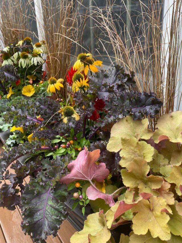 Hello Windowbox Wednesday! 
#urnedelegance #urnedmembership #prettyplantersforeveryseason #plantjoy #windowboxwednesday #fall #fallplanters #fallcontainers #seasonalcontainers #curbappeal #falldecor