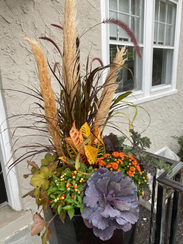 This planter is giving all the fall feels.#urnedelegance #urnedmembership #prettyplantersforeveryseason #fallseason #fallplanters #fallcontainers #seasonalcontainers #seasonalplanters #betterhomesandgardens #curbappeal #plantjoy #becreative #paolipa