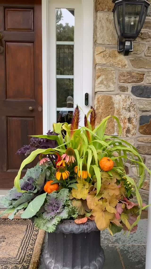 Happy Halloween 🎃It’s been a fantastic fall season. #urnedelegance #prettyplantersforeveryseason #urnedmembership #plantjoy #containergardening #curbappeal #betterhomesandgardens #seasonalplanters #fallplanters #fall #fallcontainers #fallhomedecor #halloween
