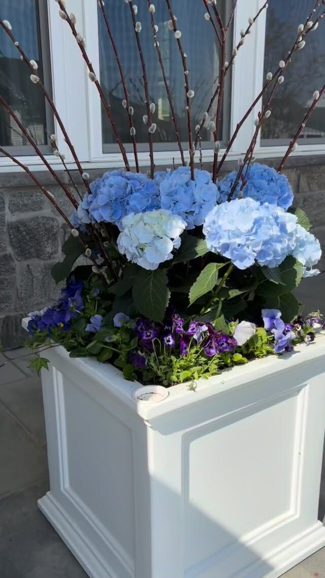 Hydrangea, you drama queen! We love you, but you're high maintenance. Worth it, though…Warm spring temps and constant watering (get it, "hydra"ngea?) make you a fave 💙
#urnedelegance #prettyplantersforeveryseason #urnedmembership #plantjoy #containergardening