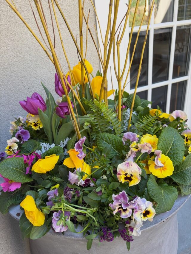 Ready to shake off the chill! These spring planters are giving me all the sunny vibes. Here's to spring!
#urnedelegance #urnedmembership #springplanters #plantjoy