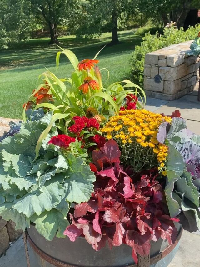 “Autumn is the second spring, when every leaf becomes a flower”. Welcome Fall! 🍁
#urnedelegance #urnedmembership #prettyplantersforeveryseason #plantjoy #fallcontainers #fallplantingseason #fallplanters #seasonalcontainers #fall #curbappeal #fallflowers #containergardening #containergardendesigner #malvernpa