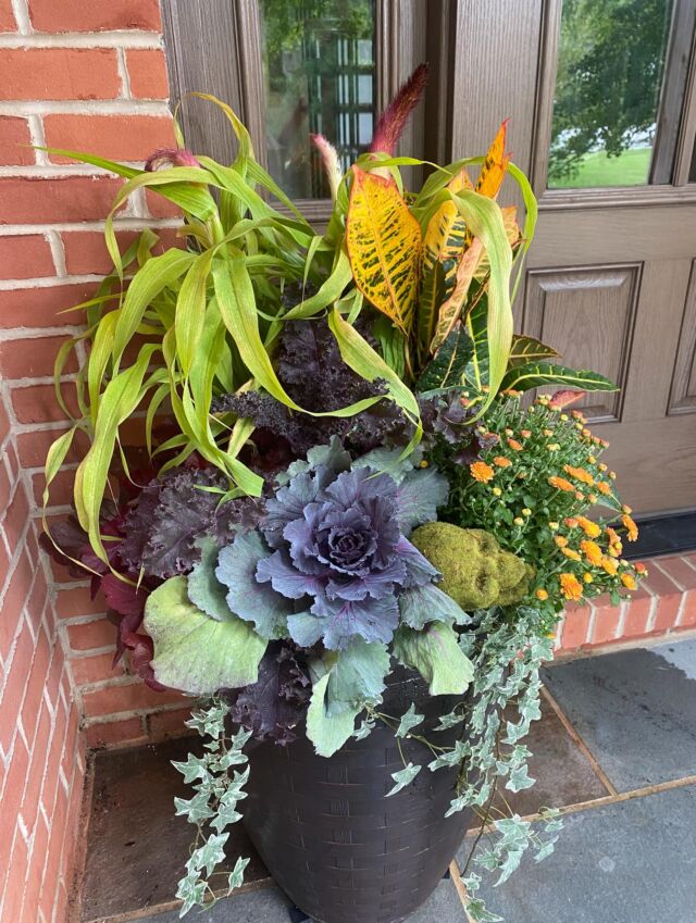 Fall flowers still need to be watered. Temperatures are still high, please continue to water your planters 3-4 times a week 🍁💦Once temperatures drop in the 60’s you can drop watering down to once to twice a week.#urnedelegance #urnedmembership #prettyplantersforeveryseason #fall #fallplanters #seasonalcontainers #fallcontainers #curbappeal #wateryourflowers