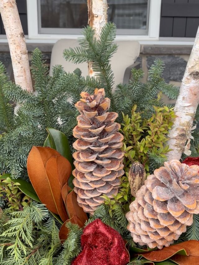 The magic of the holiday season has arrived!
#urnedelegance #urnedmembership #prettyplantersforeveryseason #plantjoy #winterplanters